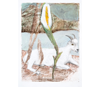 Marilyn Frasca Pastel and monotype